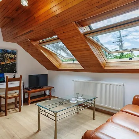 Le Nid Perche - Spacious, Quiet & Hypercentral * Ferney-Voltaire